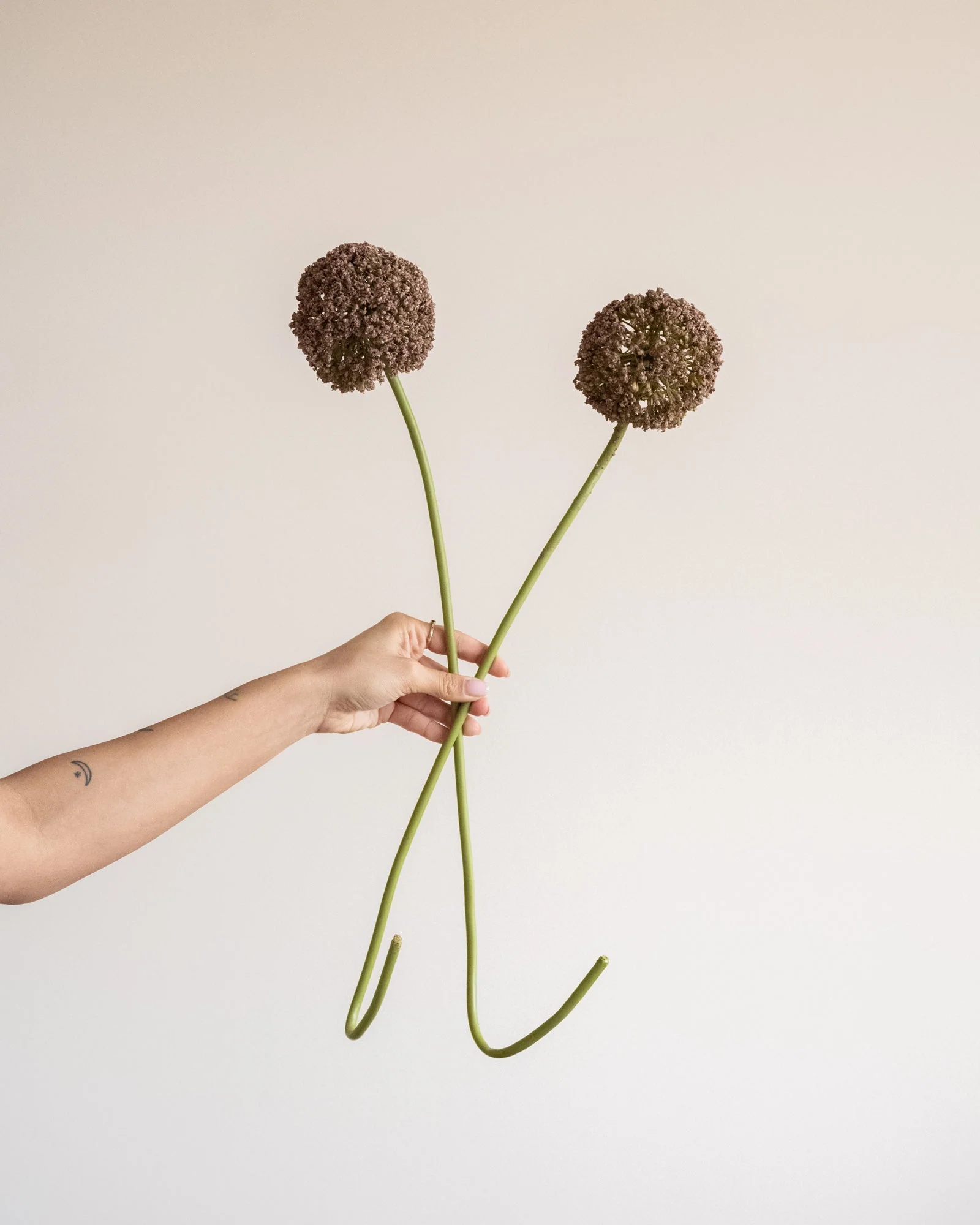 Bloomingville Kunstbloemen Allium Stem Brown - Image 3