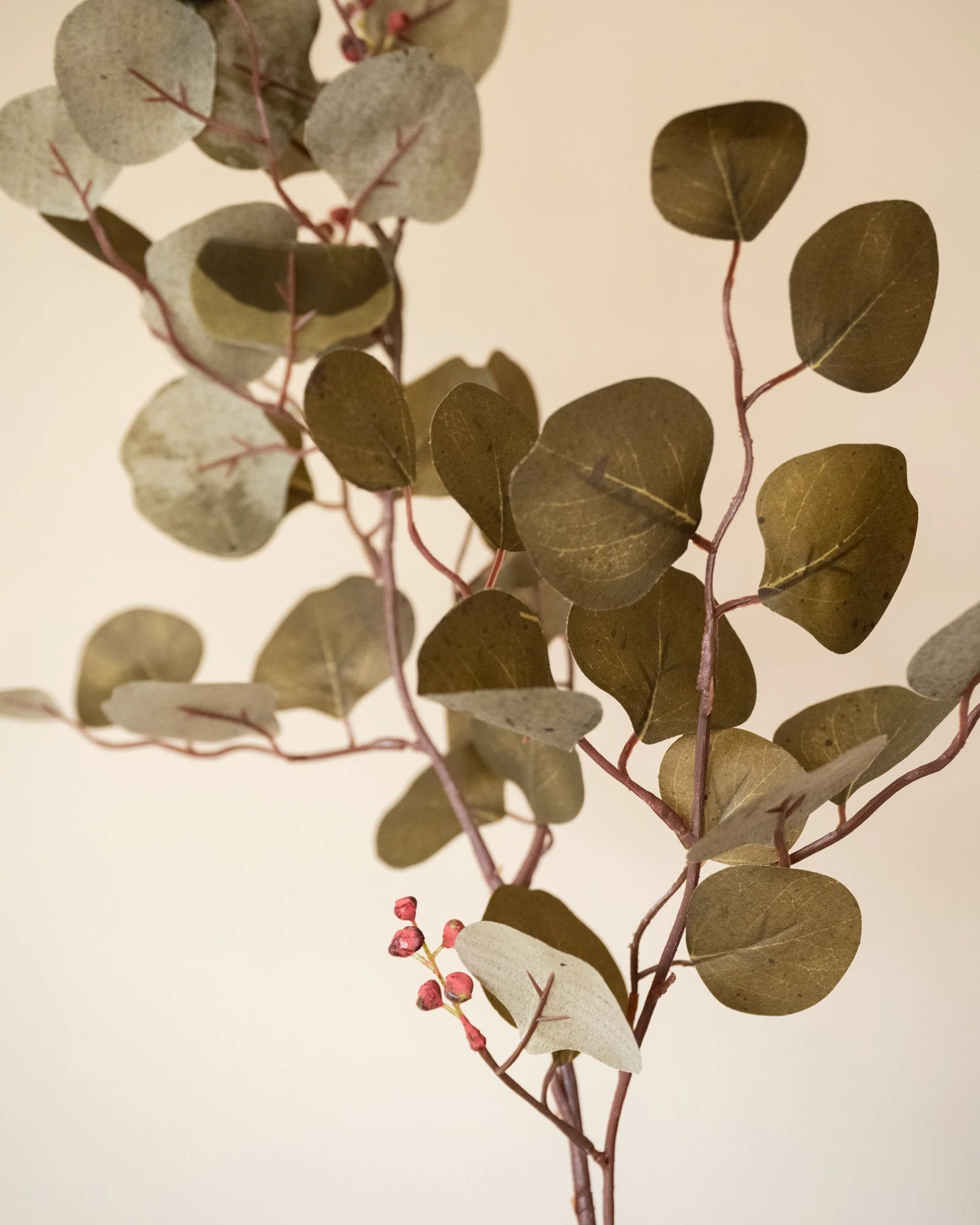 Bloomingville Kunstbloemen Eucalyptus Brown - Image 3