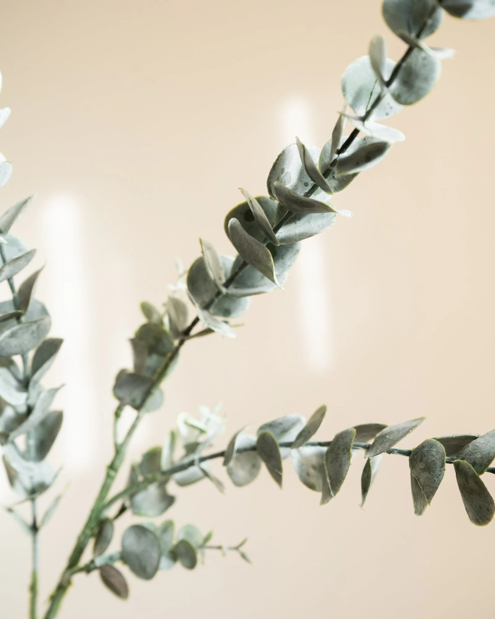 Bloomingville - Kunstbloem Eucalyptus Stem - Image 2