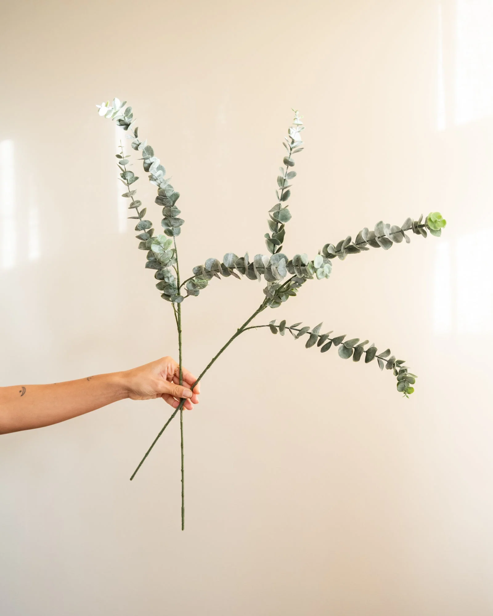 Bloomingville - Kunstbloem Eucalyptus Stem - Image 4