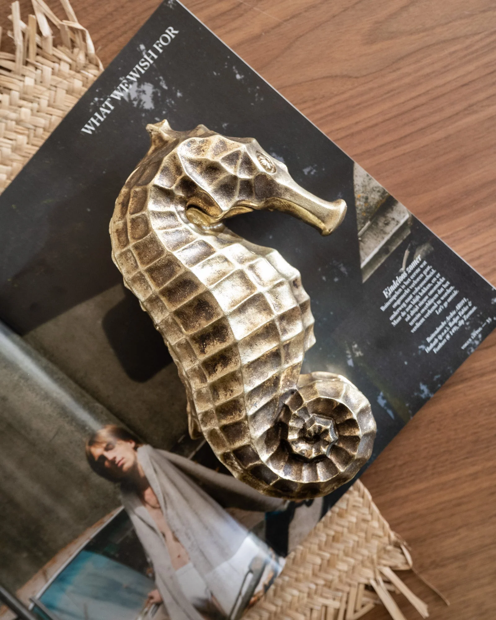 Deco Box Seahorse