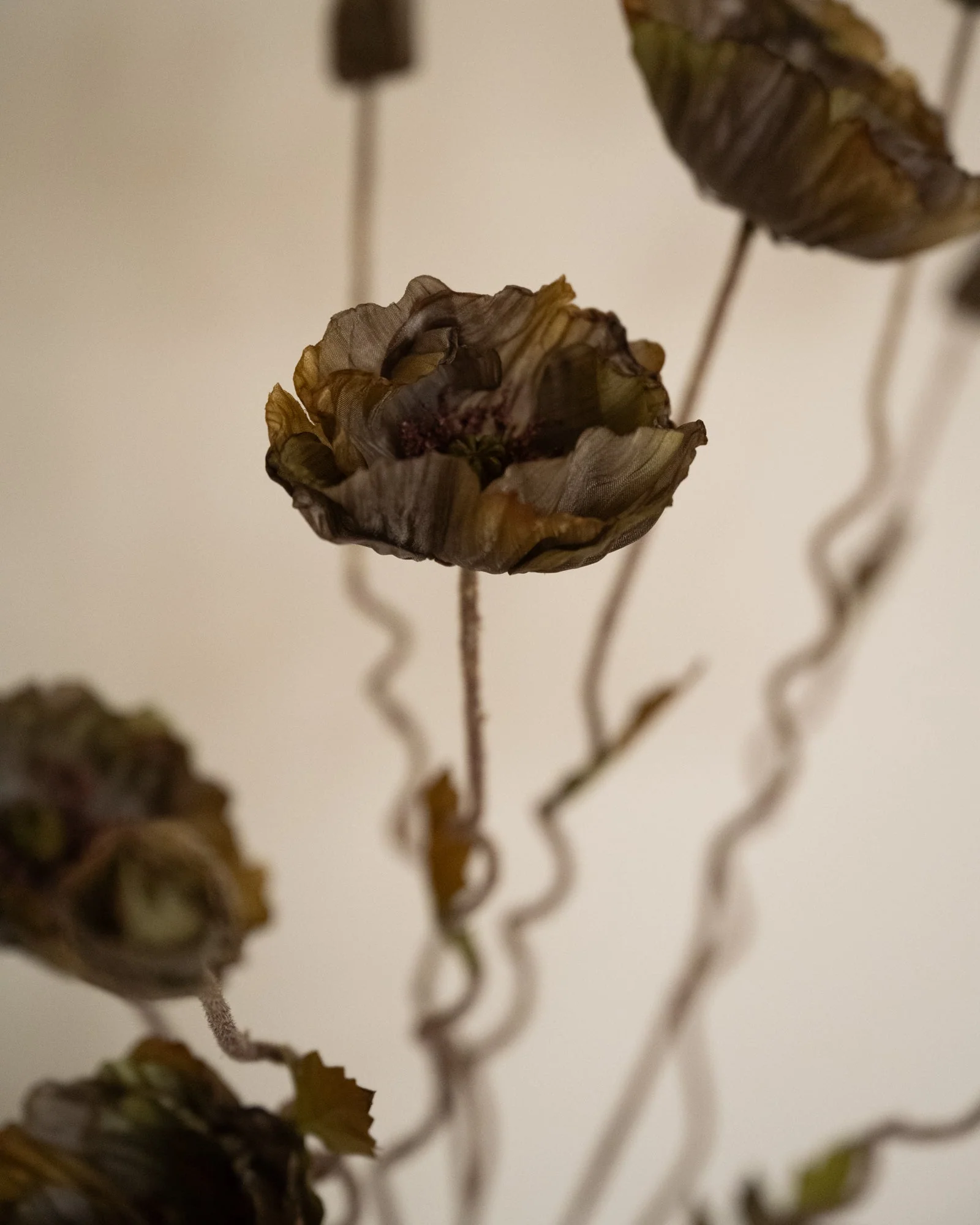 Bloomingville Kunstbloemen Poppy Stem Brown - Image 5