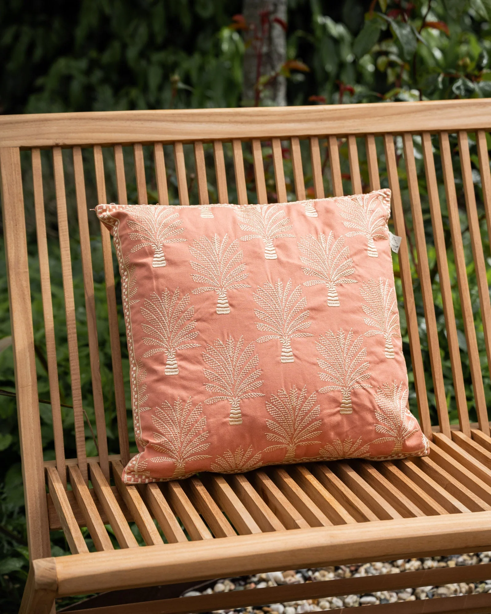 Cushion Cycas Palm Trees