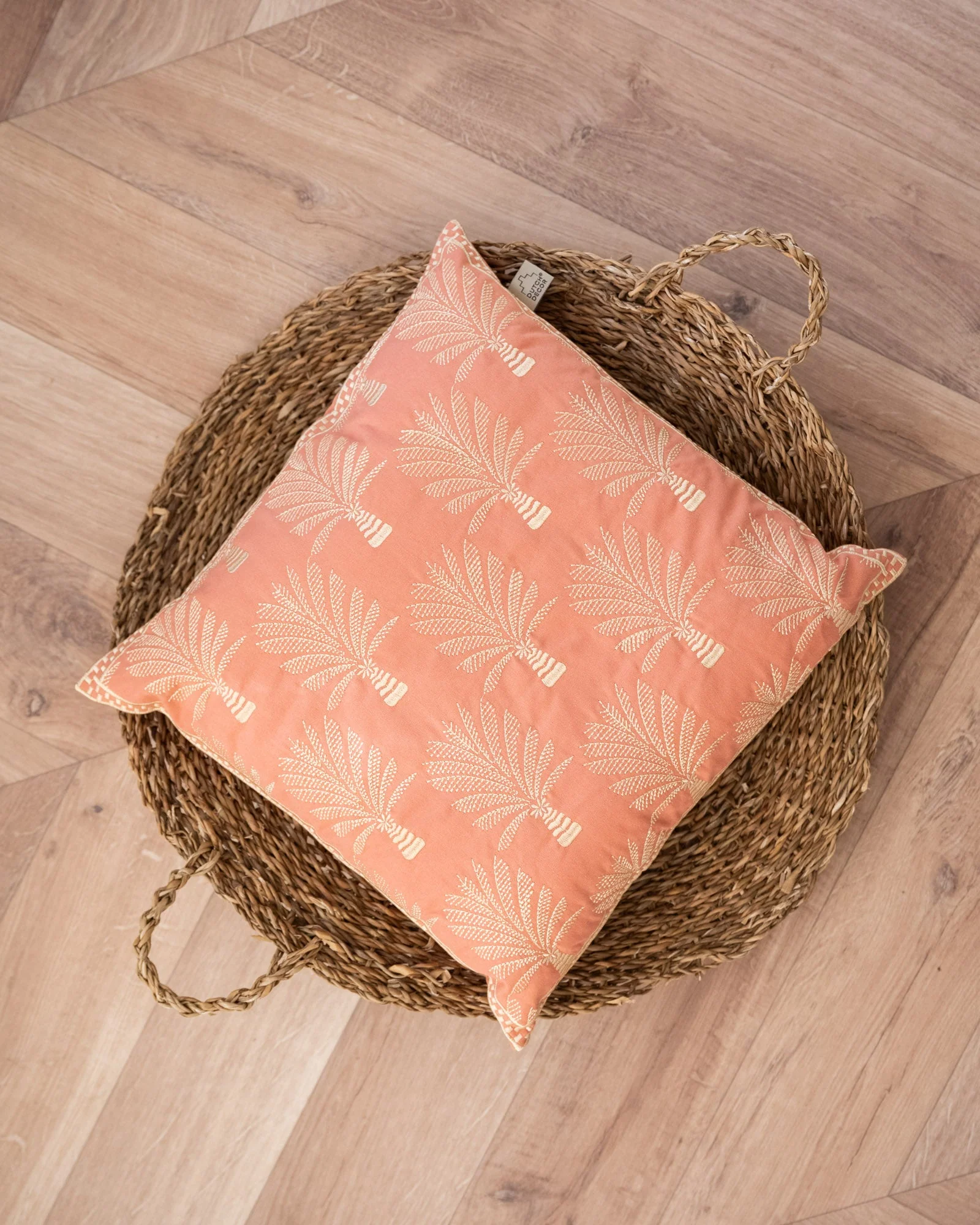 Cushion Cycas Palm Trees - Image 4