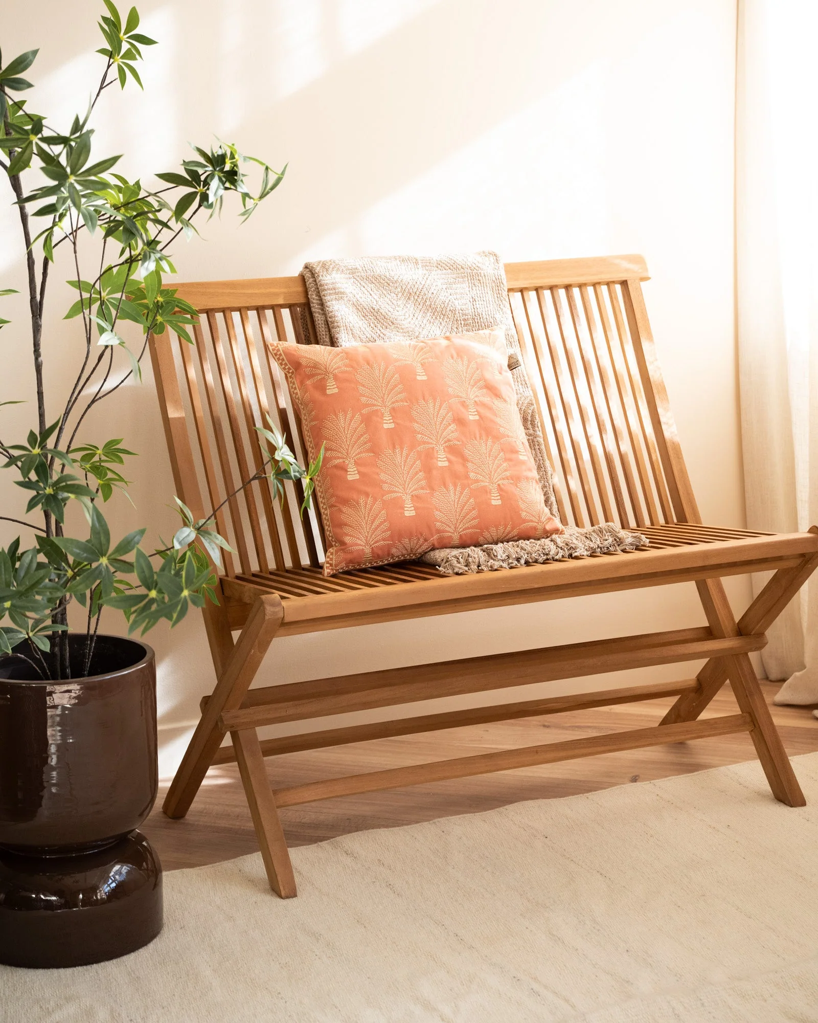 Cushion Cycas Palm Trees - Image 5