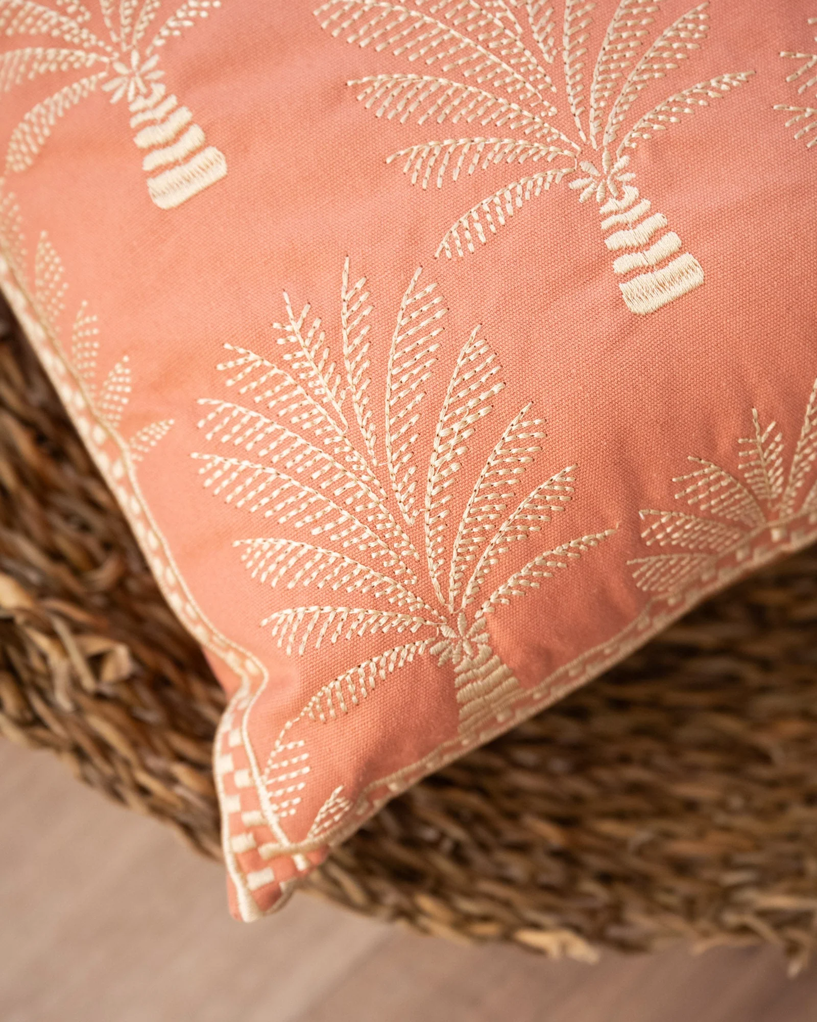 Cushion Cycas Palm Trees - Image 6