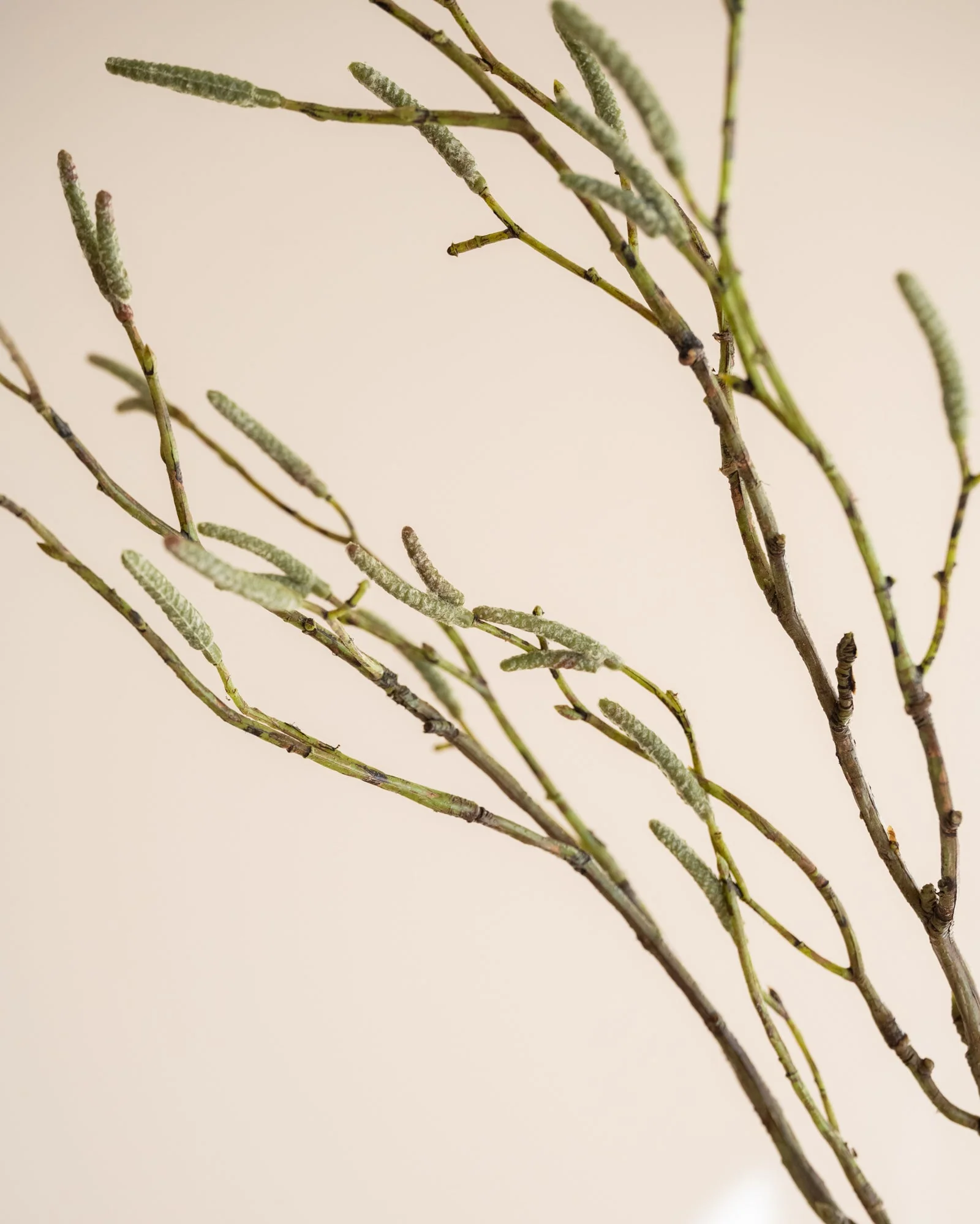 Kunstbloemen Birch Green - Image 3