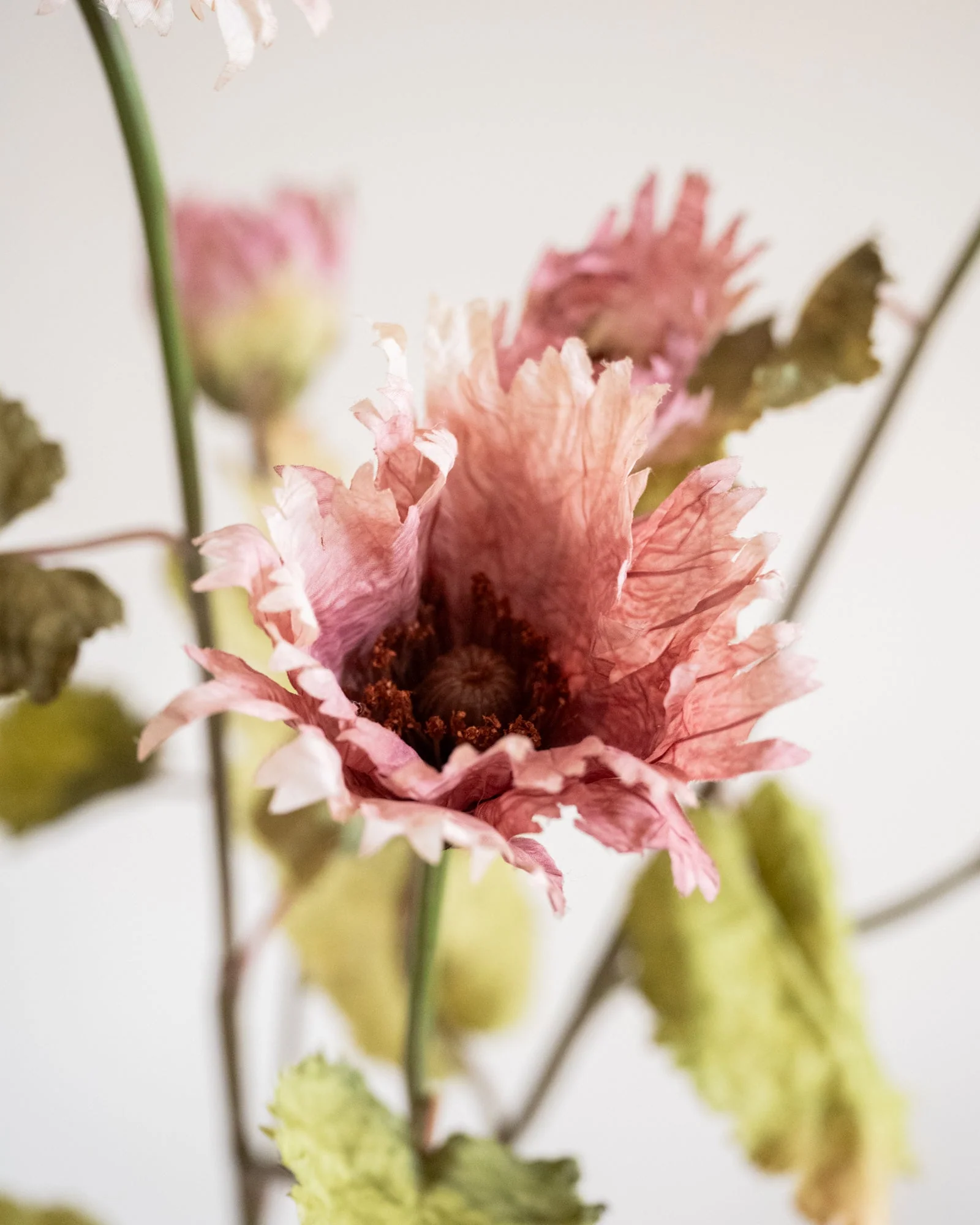Bloomingville Kunstbloemen Chrysantemum Pink - Image 5