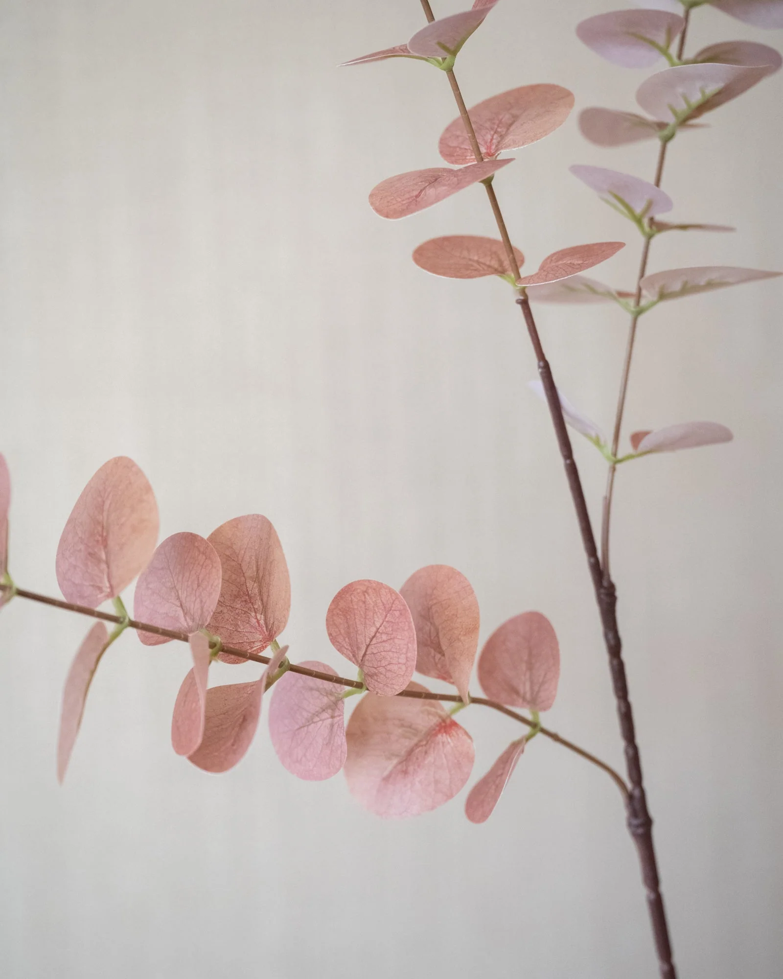 Kunstbloemen Eucalyptus Rosewood - Image 4