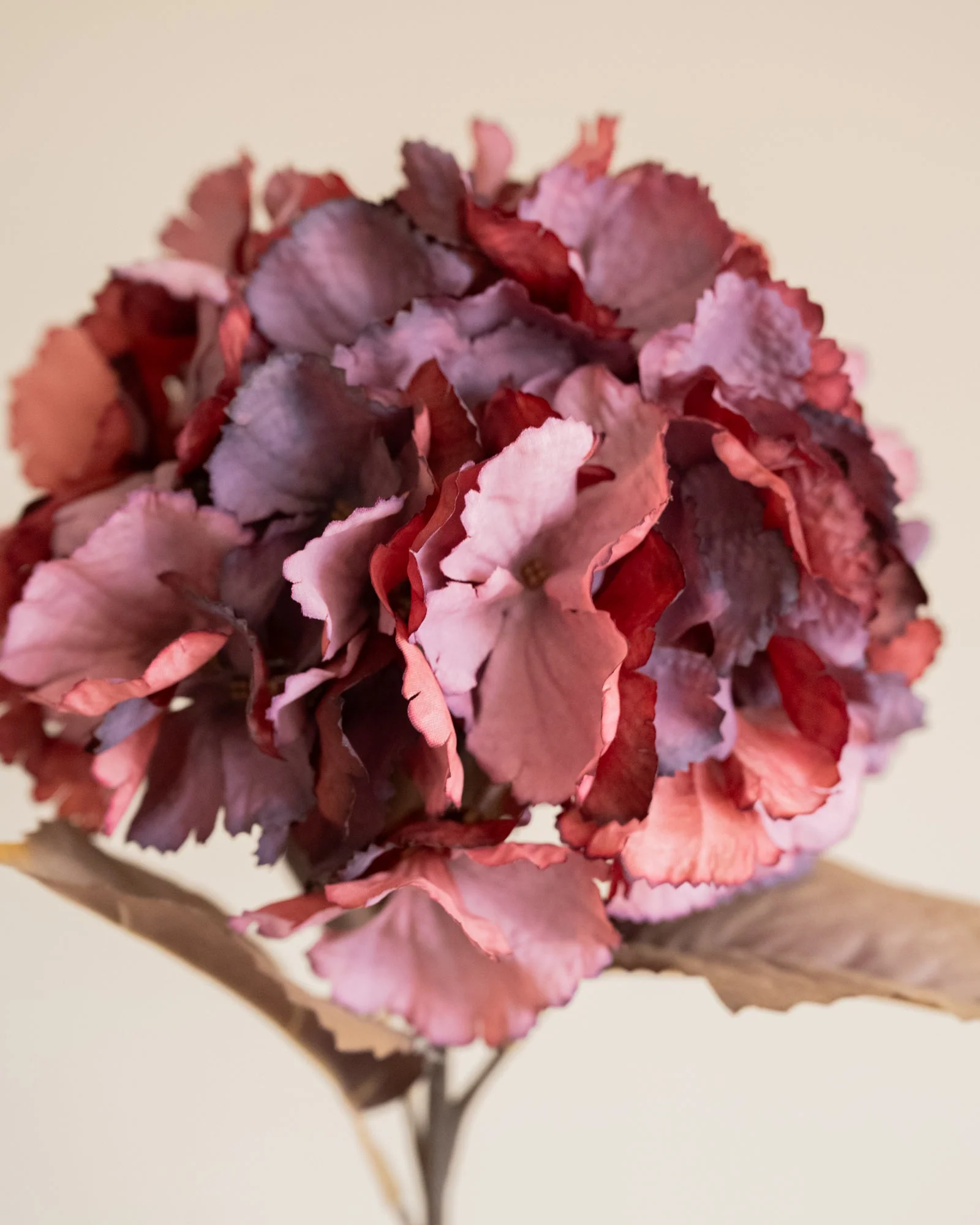 Kunstbloem Hortensia Bordeaux - Image 3