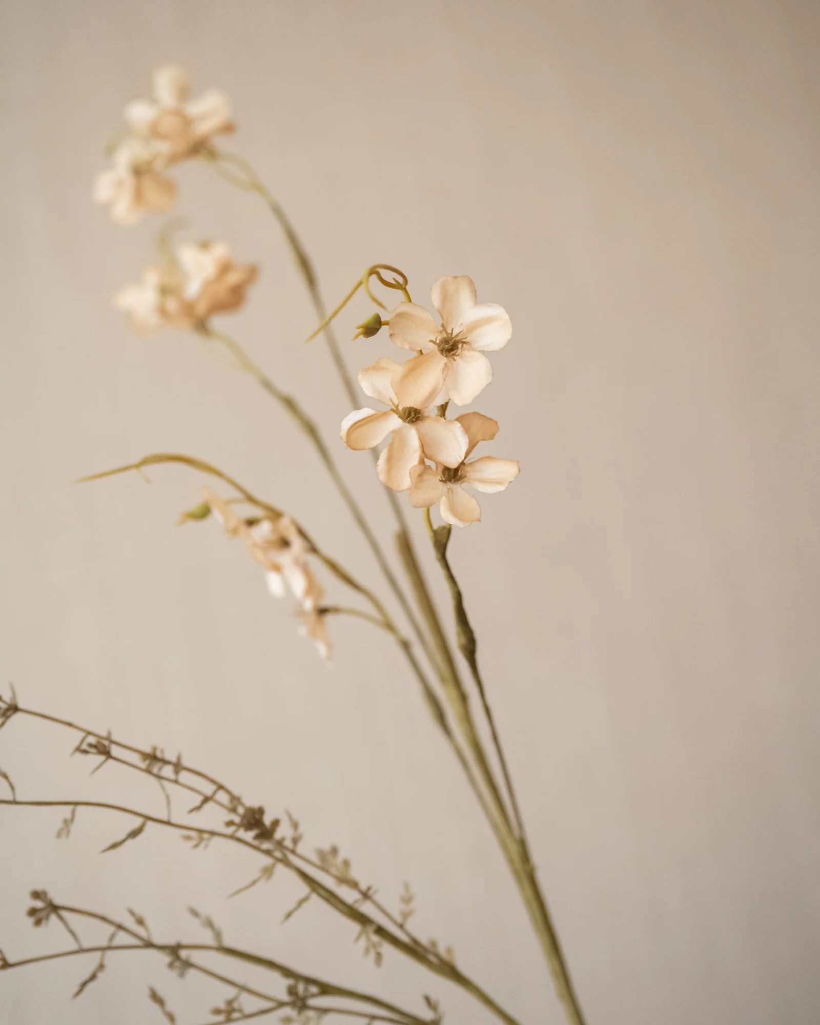 Kunstbloemen Jasmine Beige - Image 3