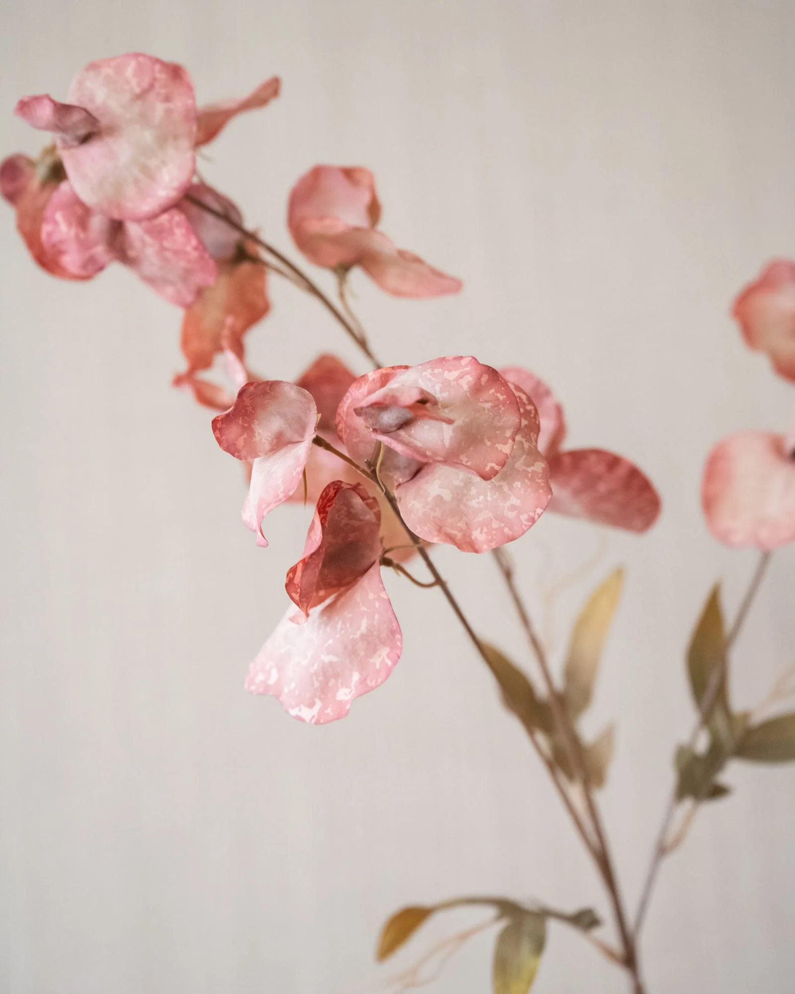 Kunstbloemen Pea Pink - Image 2