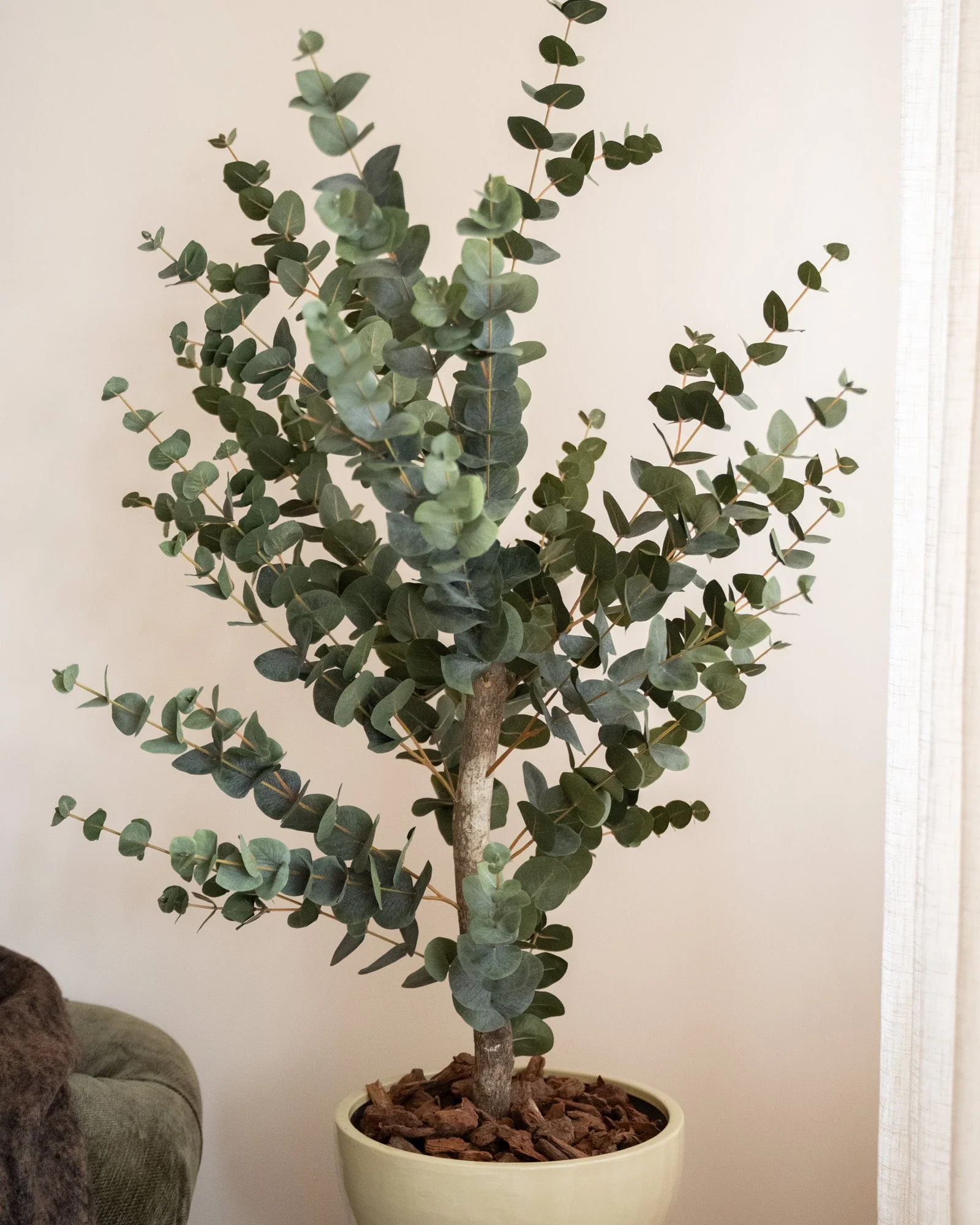 Faux Tree Eucalyptus Green - Image 5