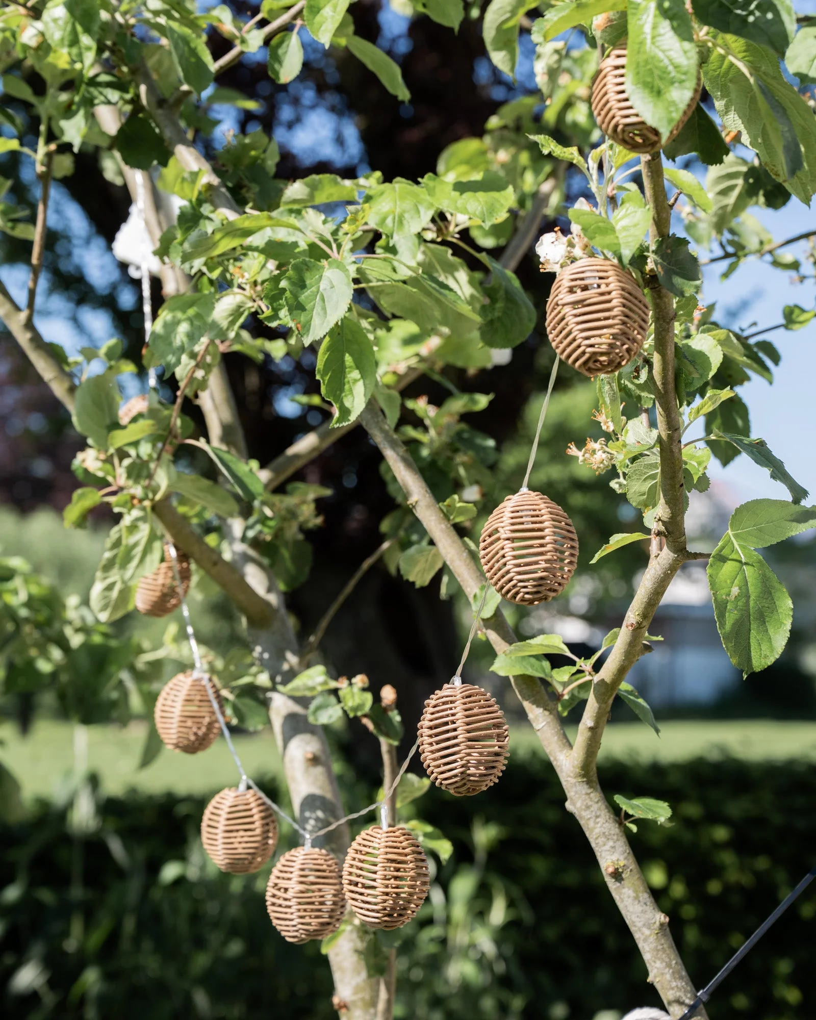 Outdoor String Lights Carlisle Brown