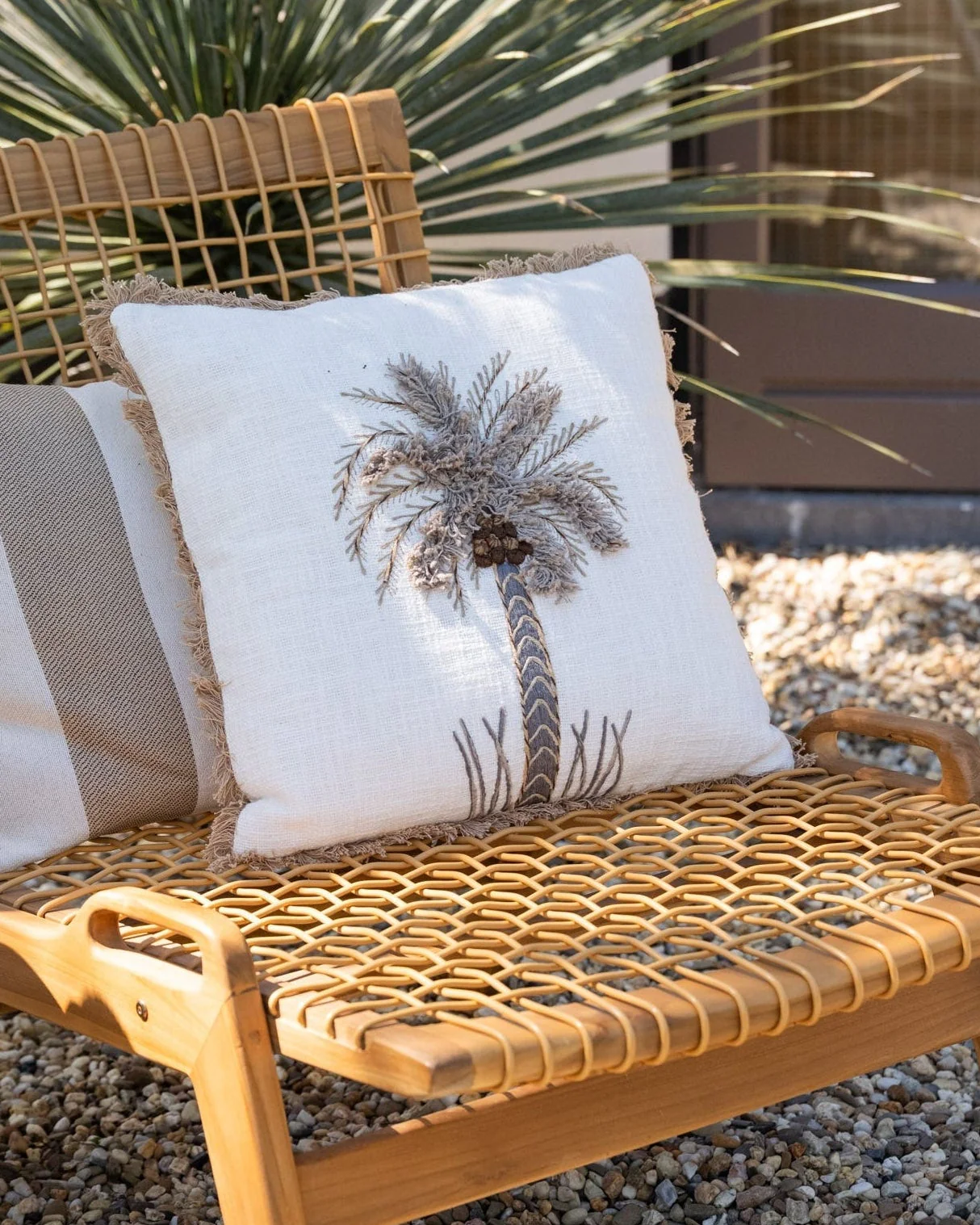 Cushion Palm Tree Teske - Image 2
