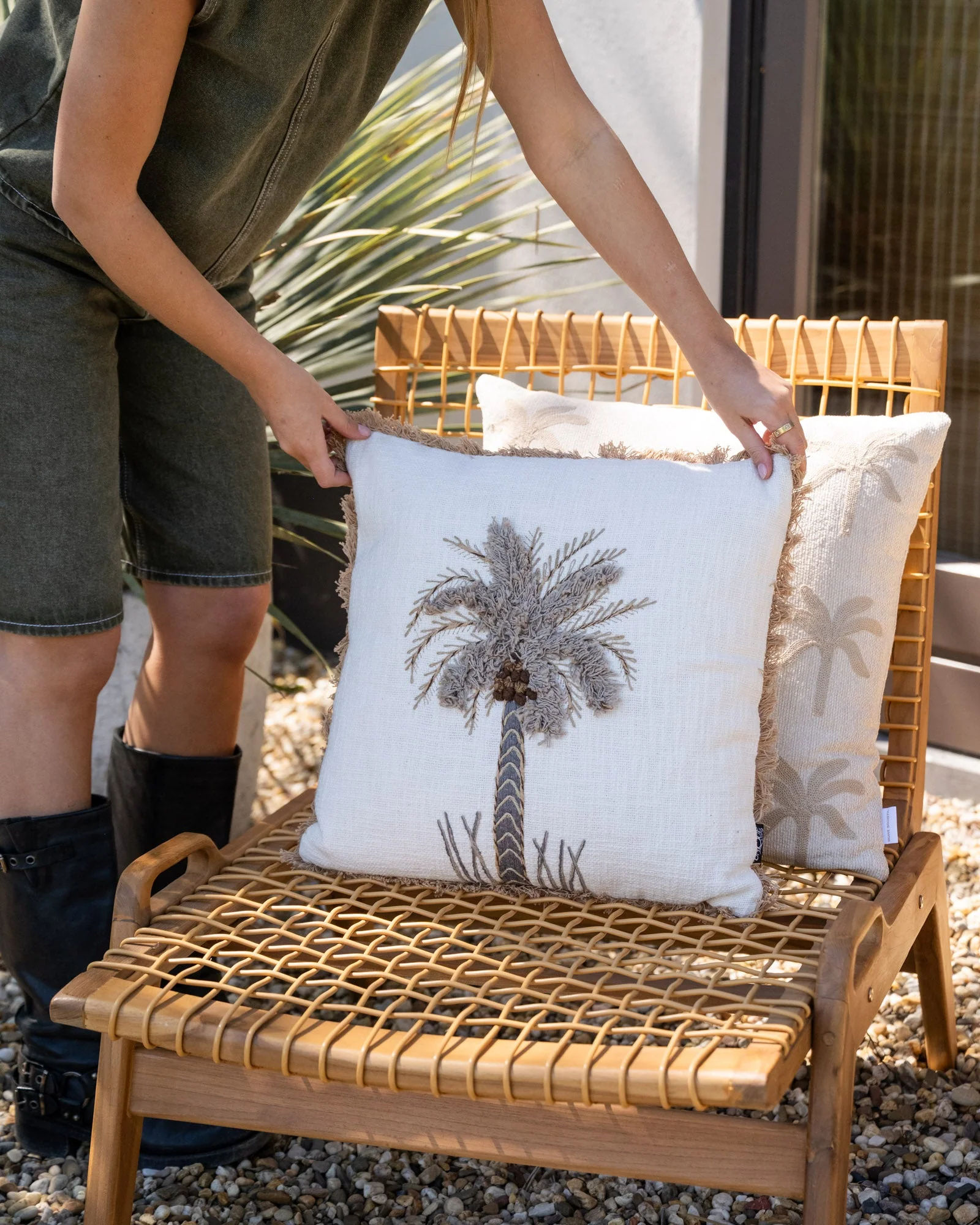 Cushion Palm Tree Teske - Image 4