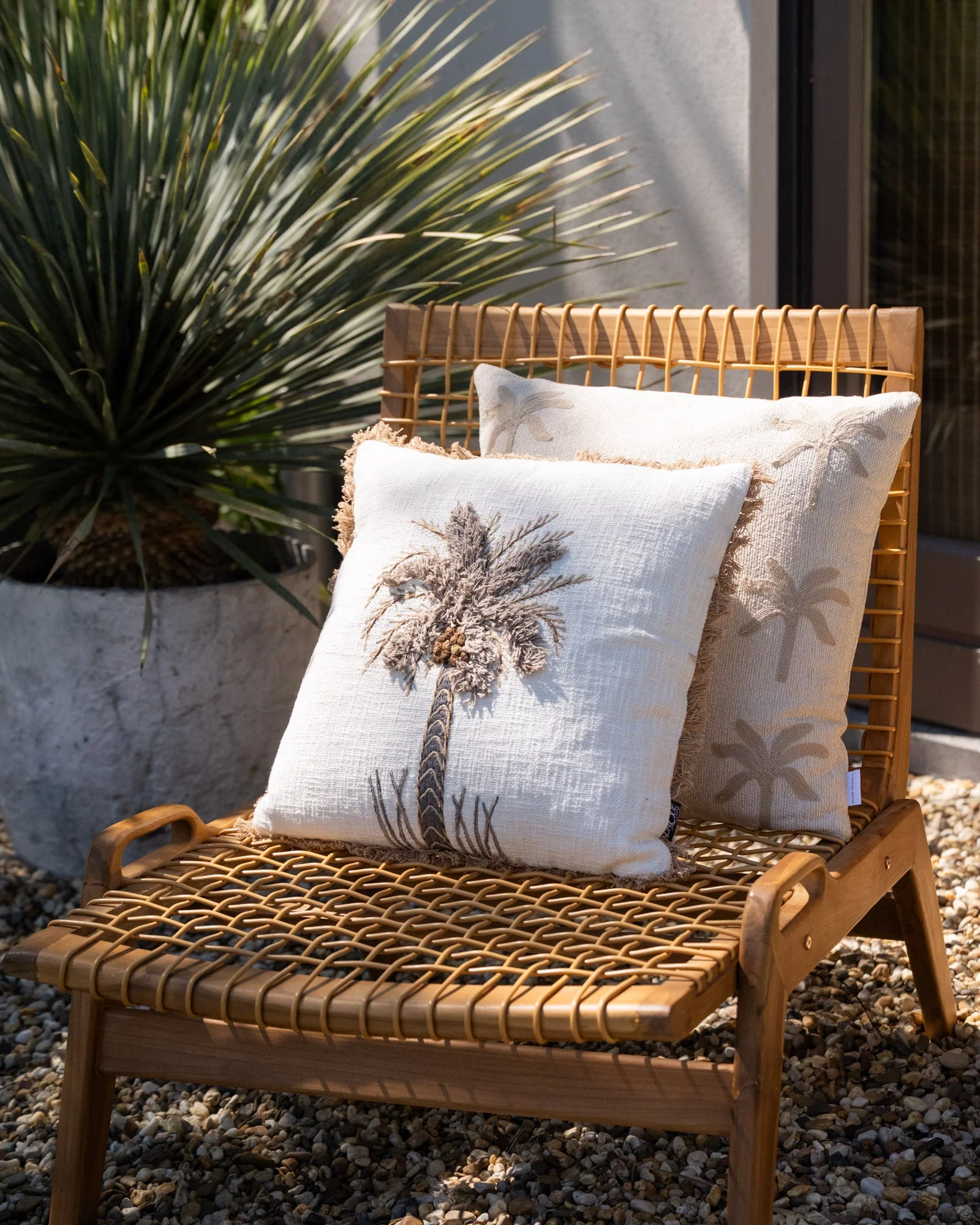 Cushion Palm Tree Teske - Image 7