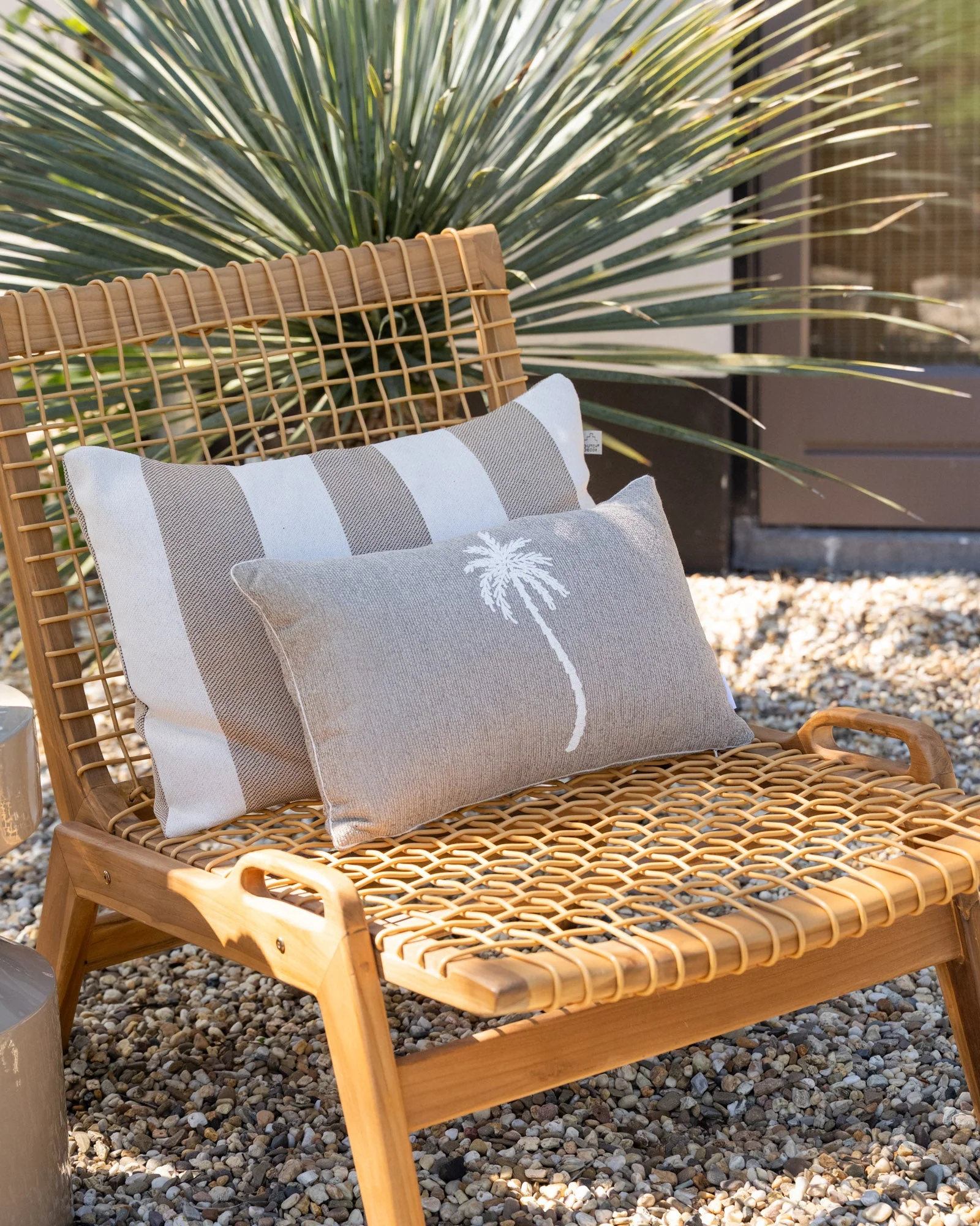 Cushion Palm Beige