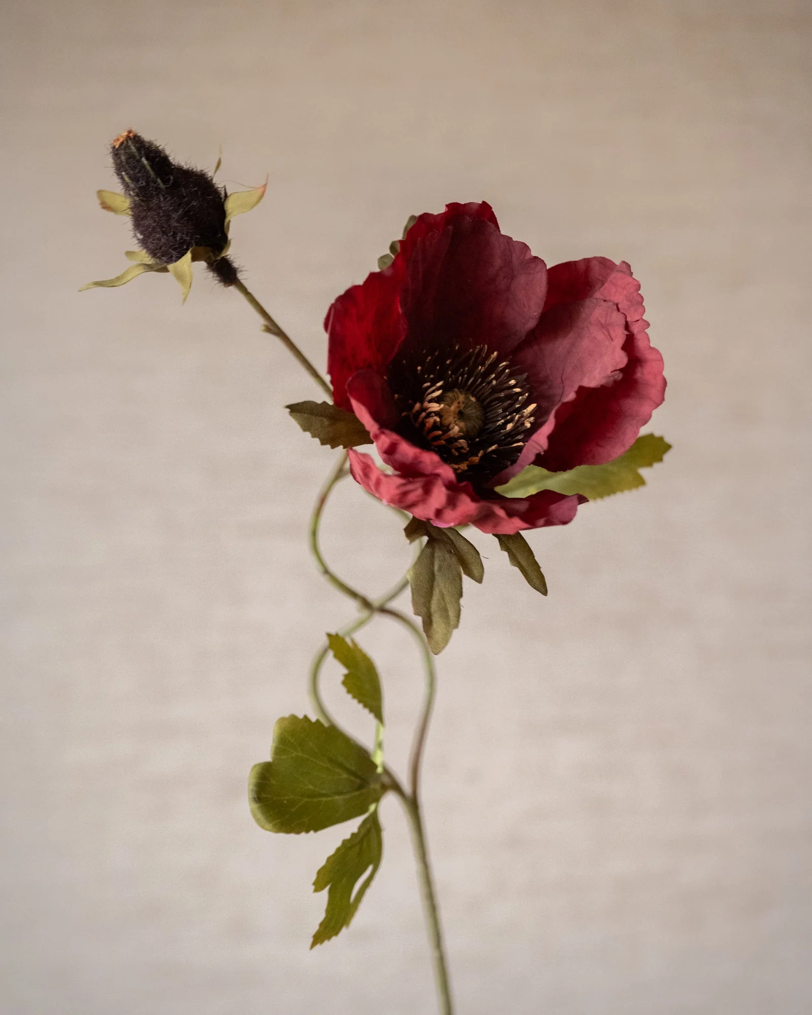 Miniatuur 2