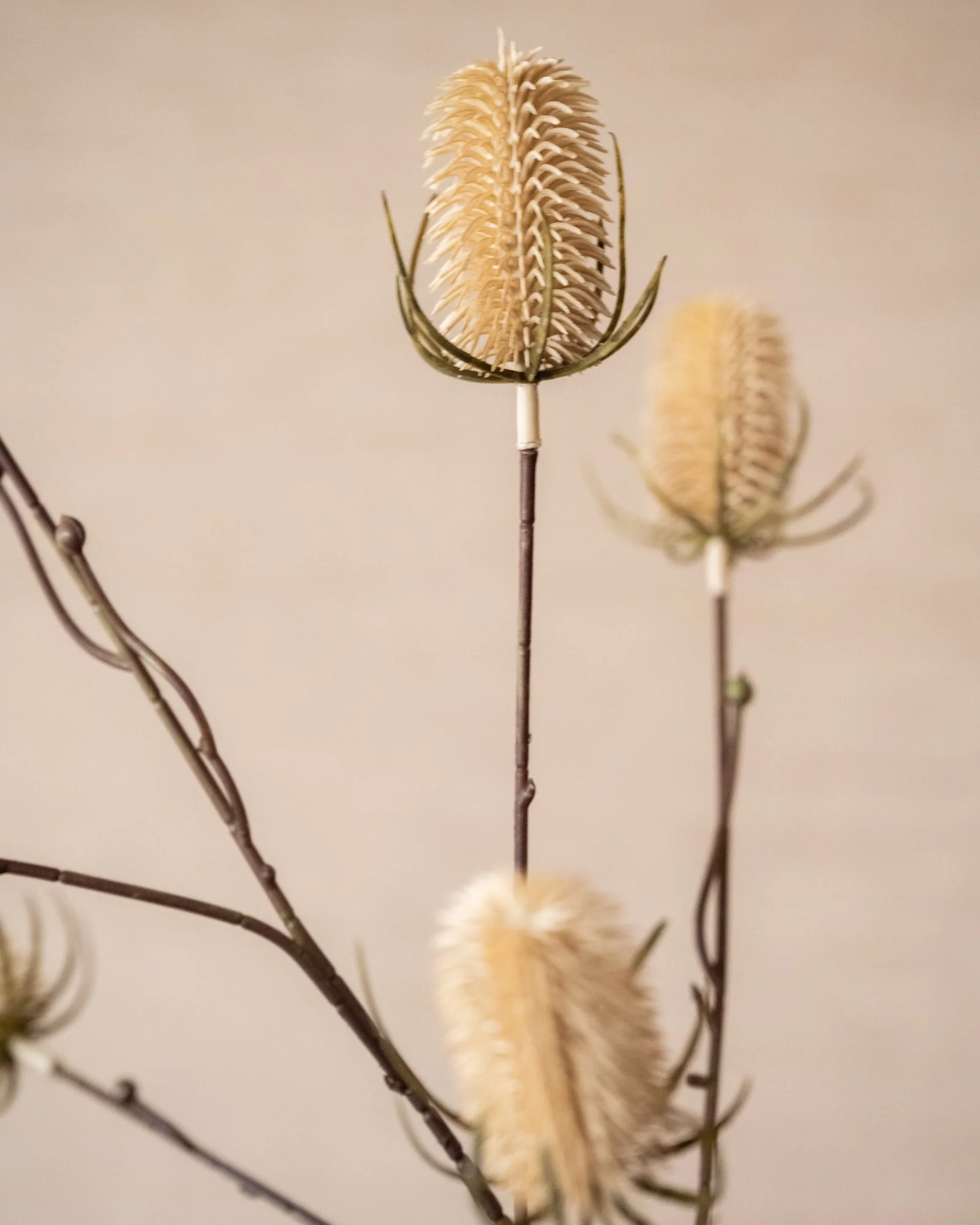 Kunstbloemen Thistle Beige - Image 4