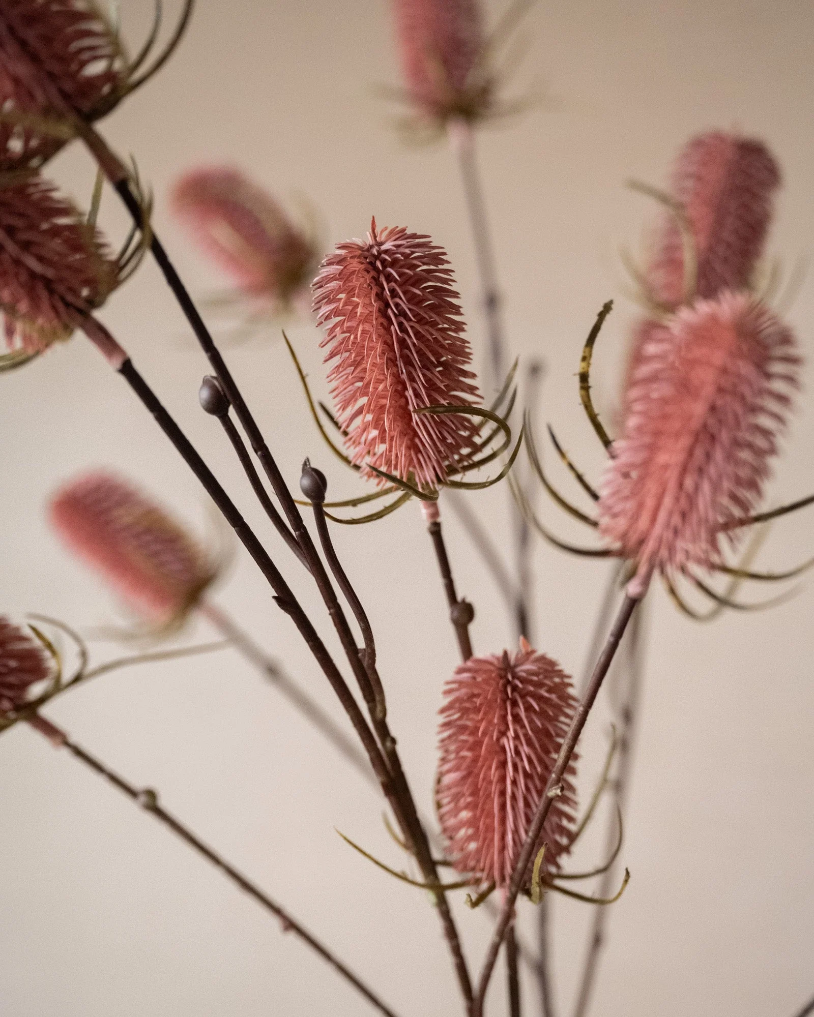 Kunstbloemen Thistle Pink - Image 4