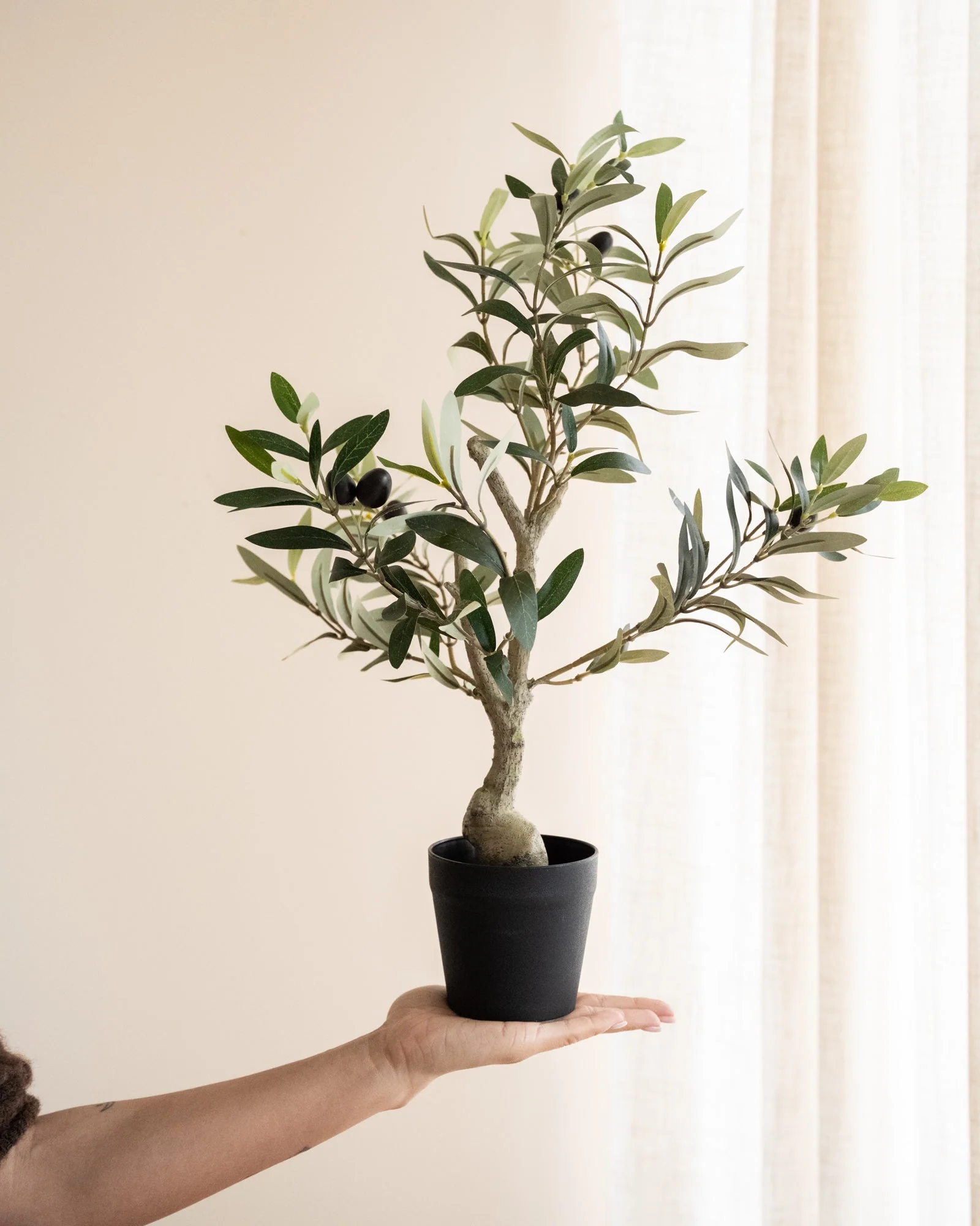 Miniatuur 1