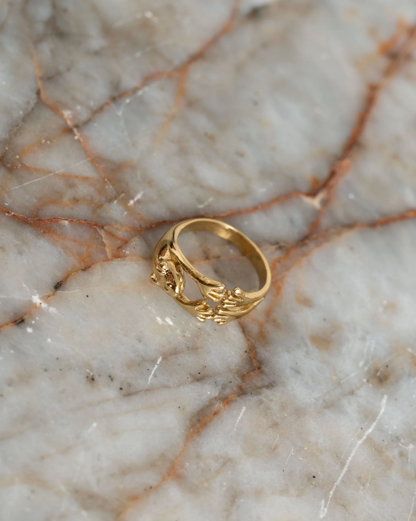 Brass Frog Ring Goud - Image 2